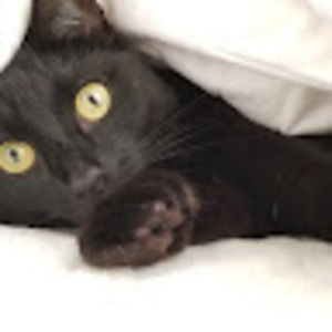 Meet your Posher, Leslee